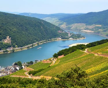 Rhine River Cruises